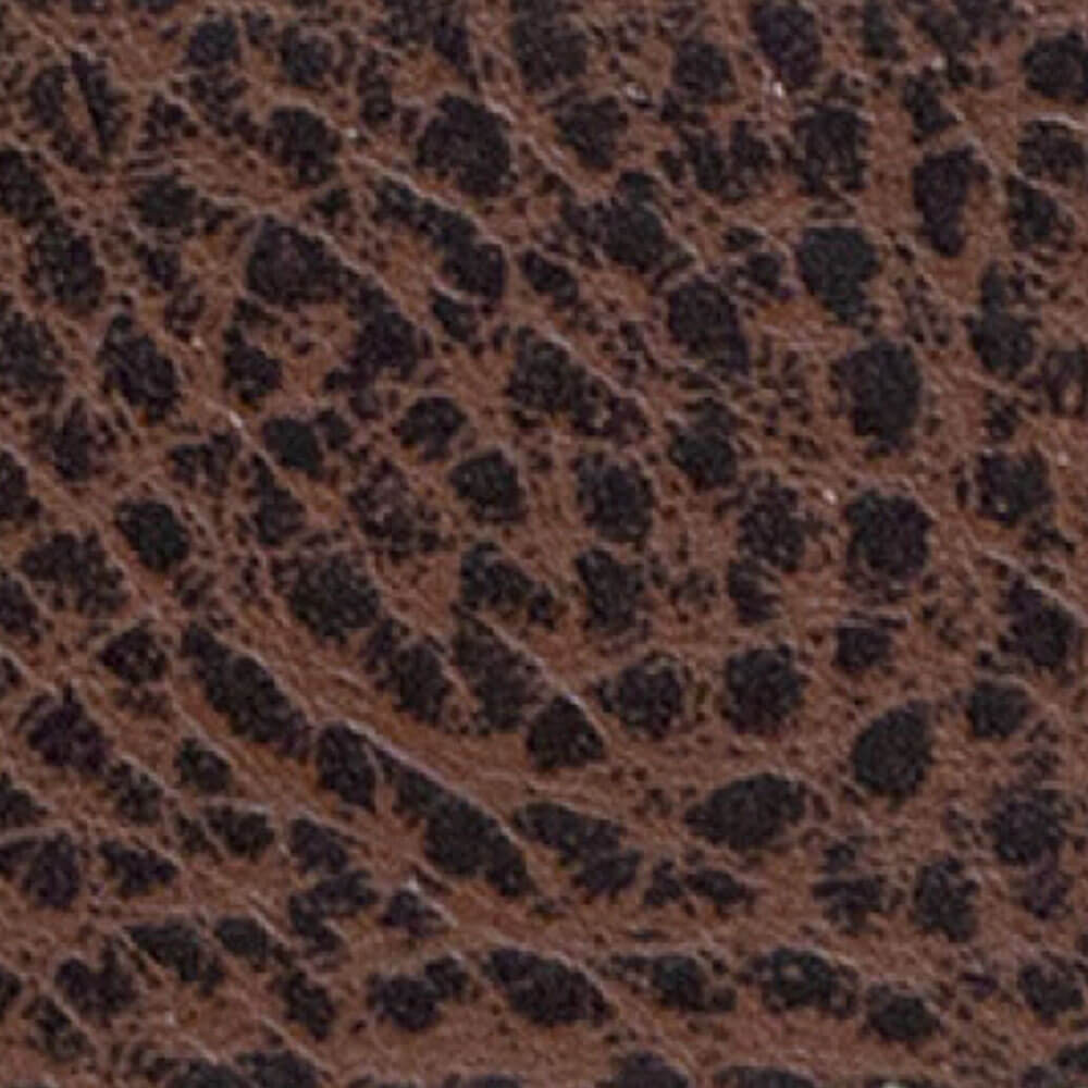 کالیته رنگ