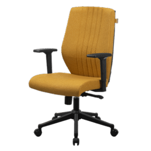 انواع صندلی کارشناسی