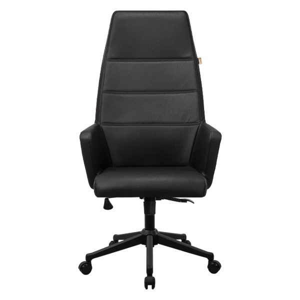 صندلی کارشناسی ارگونومیک