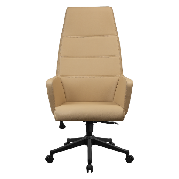 صندلی کارشناسی ارگونومیک