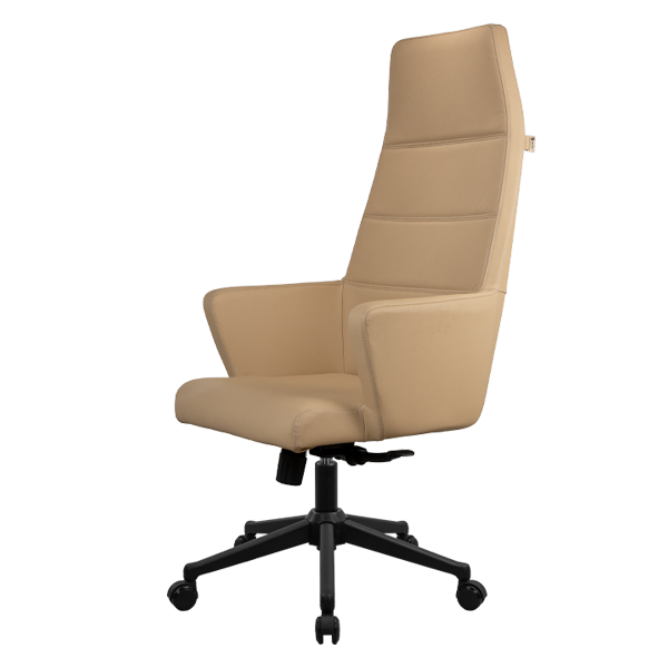 انواع صندلی کارشناسی